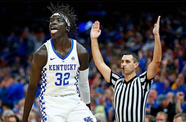 Kentucky Wildcats